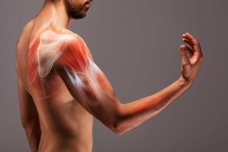 Medical illustration showing shoulder and arm muscle anatomy overlaid on body, highlighting strong bones structure