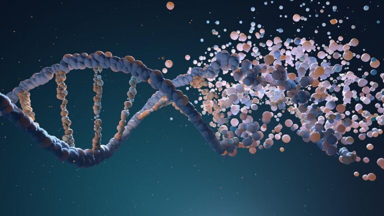 3D illustration of DNA double helix dissolving into particles, representing cellular repair and DNA synthesis from folate